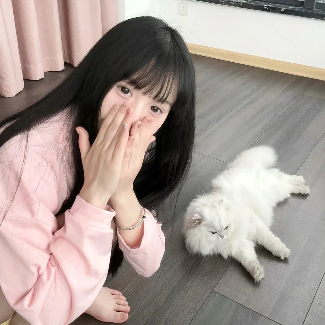 天使航班